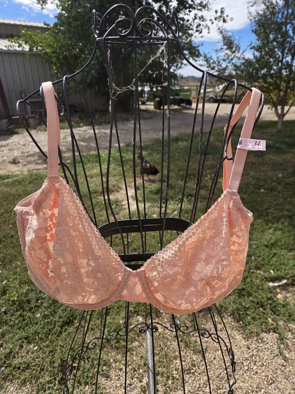Victoria's Secret Body by Victoria Unlined Demi Bra Pink 34G